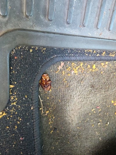 2004 Chevrolet Silverado 2500 HD LS