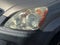 2006 Honda CR-V LX